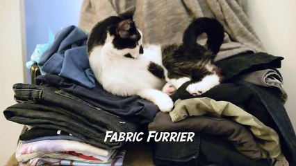 Do you realize how much work your cat does for you-! - Rumble