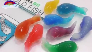 How to Make Mini Fish Color Pudding Recipe Jelly Cooking  DIY