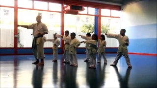 Cours Traditionnel Karaté Shotokan du mercredi Richard Segissement