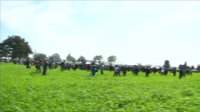 Macedonian police use tear gas on migrants at Greek border