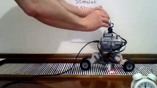 Glenn Doman's  method demonstrated with 4 neurons robot (Part 2)