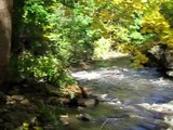 Brian in Sleepy Hollow by Headless horseman Bridge