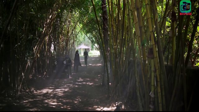 PHIR TERI BAHON MEIN Video Song HD 1080p CABARET | Richa Chadda-Gulshan Devaiah-Sonu-Kakkar | Maxpluss-All Latest Songs