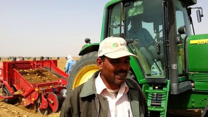 Vigro of Gizatec; the favourite fertilizer in potato fertilization. Emad Abdelgaleel, Daltex