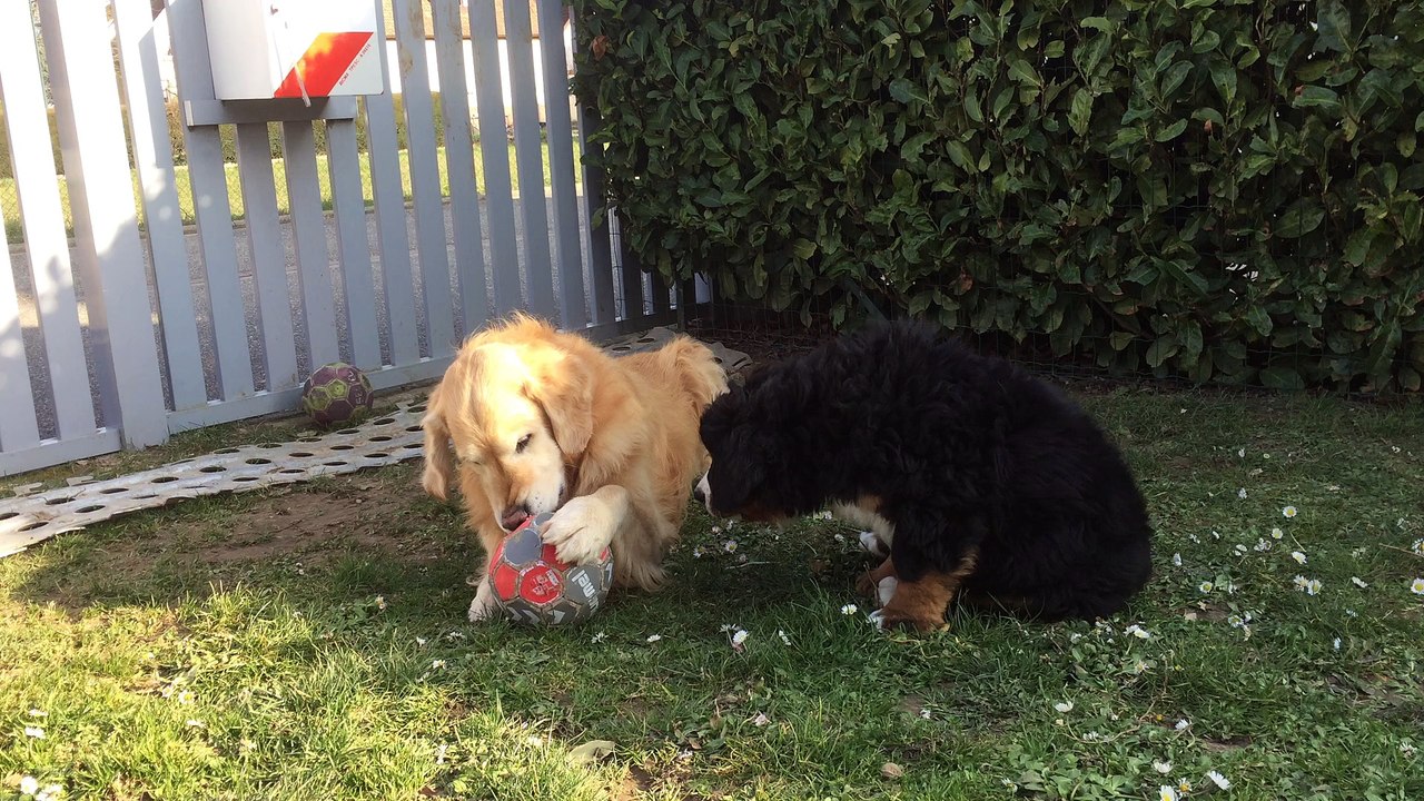 d'Jack et Max