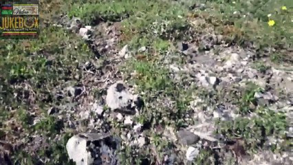 Bear attack mountaineers !