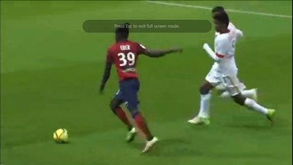 Lille OSC 1-0 AS Monaco  Goal Morgan Amalfitano   10-04-2016 HD