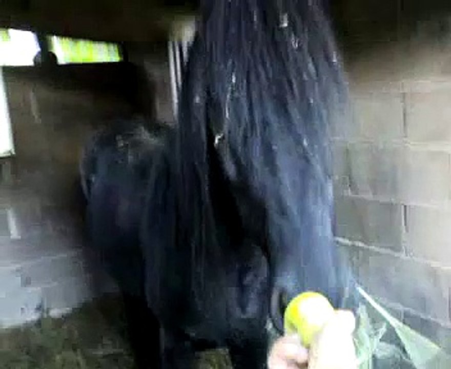 Bart Eating an apple