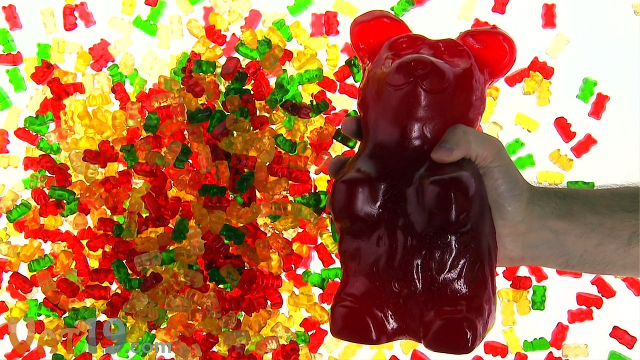 World s Largest Gummy Bear
