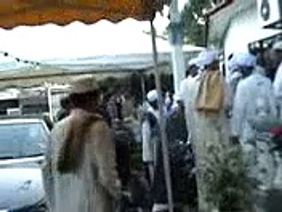 habib umar