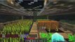 Minecraft - Survival Island - Survival Community Server with towns