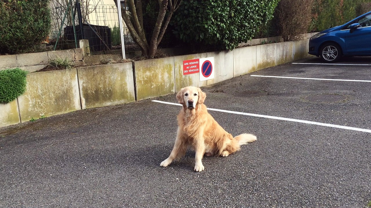 Jeu préféré de d'Jack "son ballon"