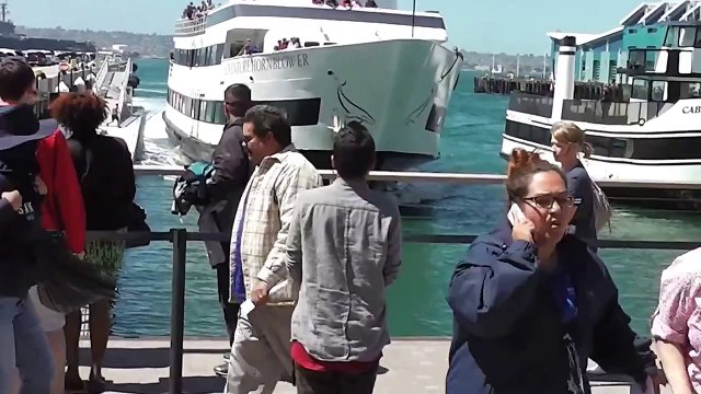 Ce bateau de croisière arrive trop vite vers le port et termine dans le quai !