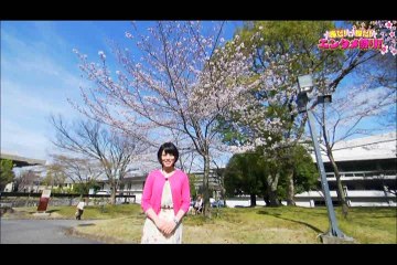 春だ！桜だ！エンタメ祭り！