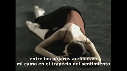 Hilde Domin-Nur eine Rose als Stütze-  Sólo una rosa como apoyo -  subt español