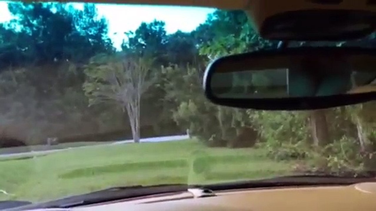 996 turbo walk around