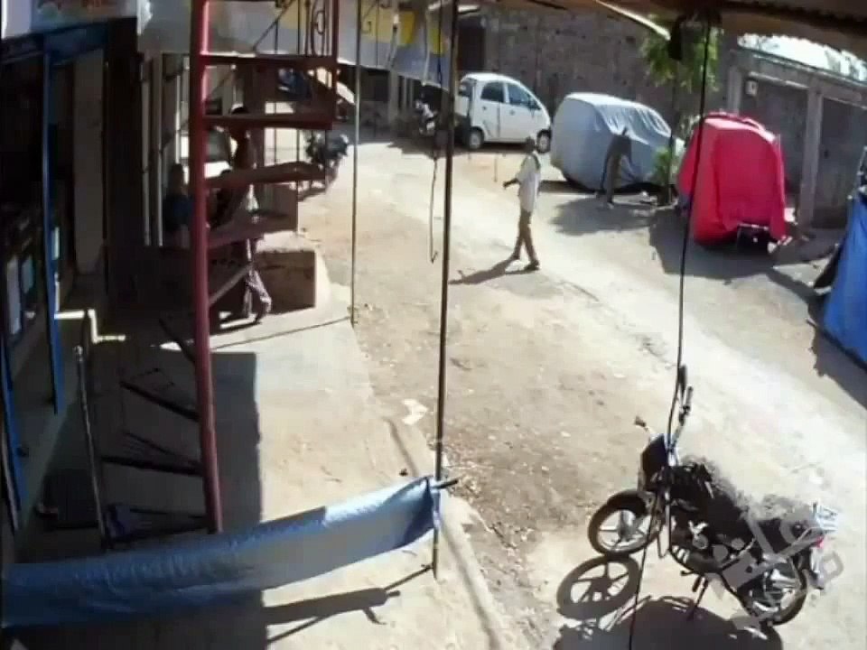 Kung Fu Monkey
