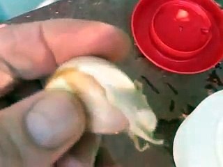 HEALTH TIP FOR KEEPING YOUR RACERS HEALTHY