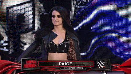 The Bella Twins vs. Natalya and Paige