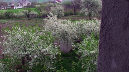 Casa de vanzare - Voinesti, jud. Iasi
