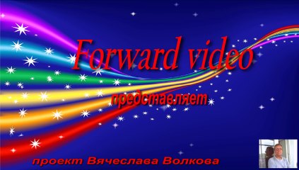 ВВС России - муз. исп. Дидюля