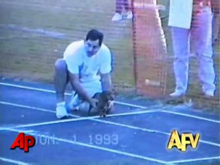 America s Funniest Home Videos  Animal Clips