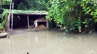 Locals suffer due to govt's. disconcern at flooded regions