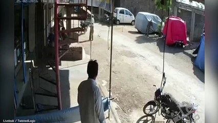 Un singe attaque un homme dans la rue
