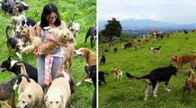 900 Cani Liberi Sulla Collina: Ecco Un Canile Unico Nel Suo Genere