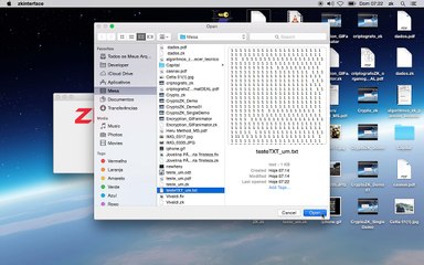 Encryption Specialist Presentation: Insights for Mathematicians & Computing Experts 🔐