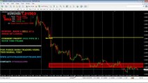 Forex MT4 Autotrading Robots Software in india