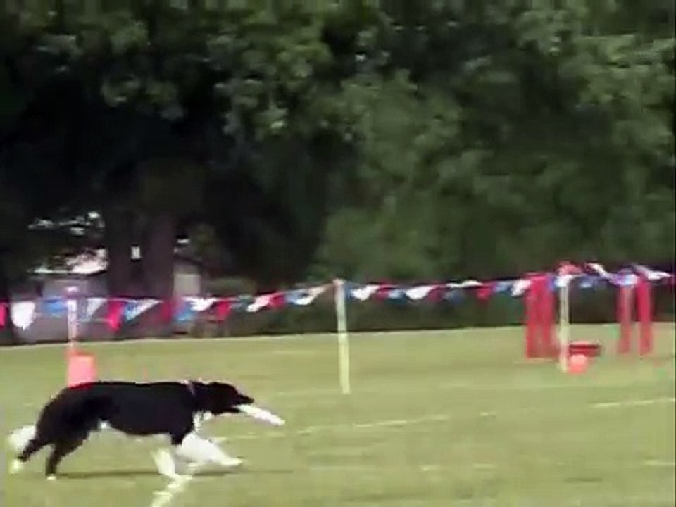 Mojo and Mark - First Competition