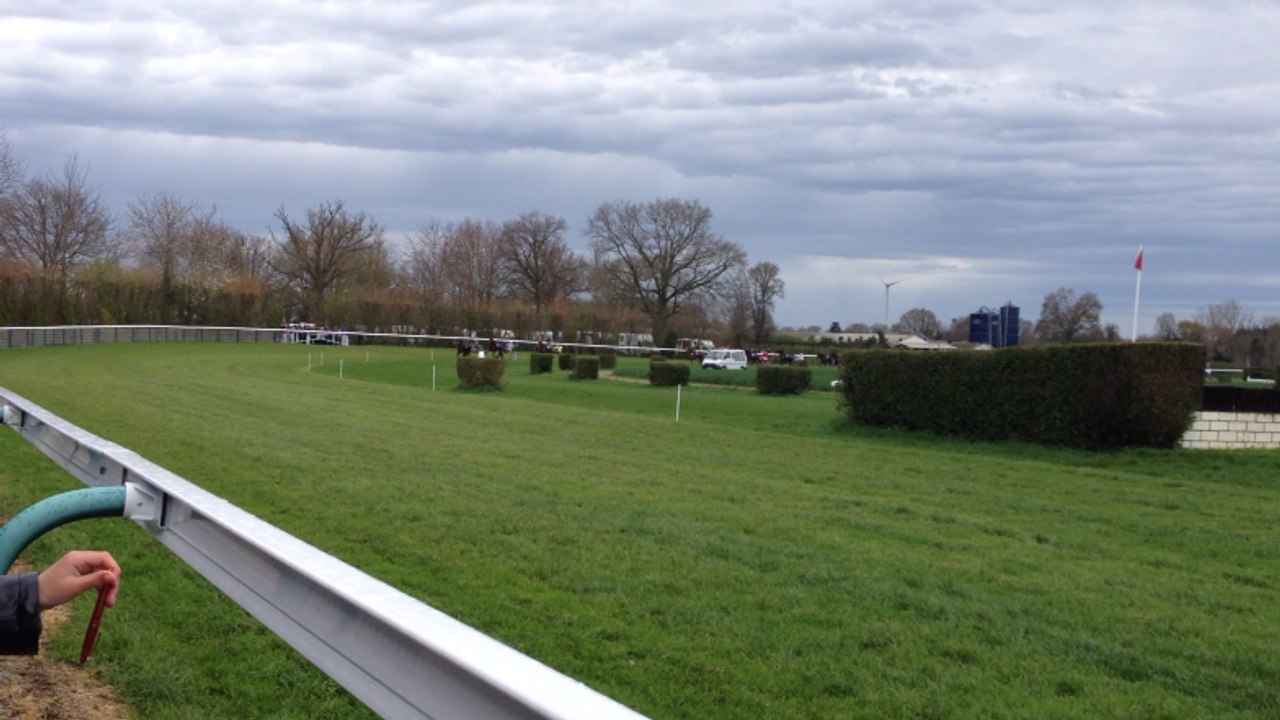 Courses hippiques