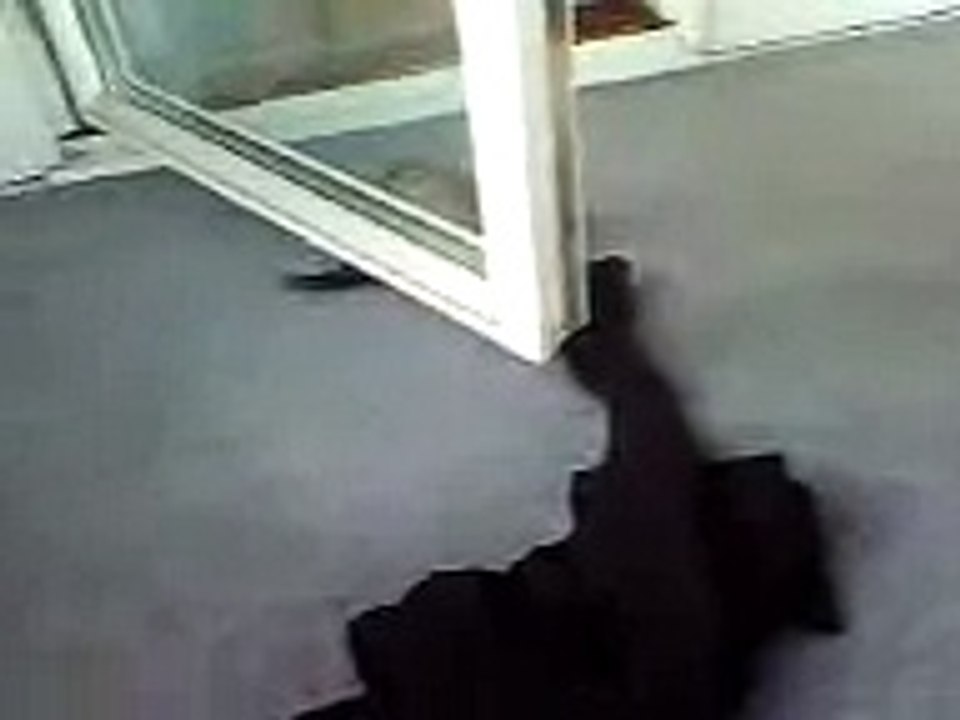 Mira på video