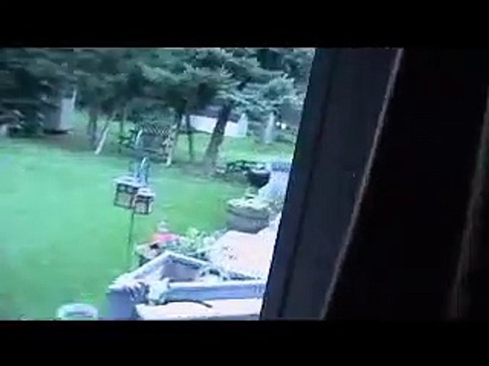 WTF happened to her face?