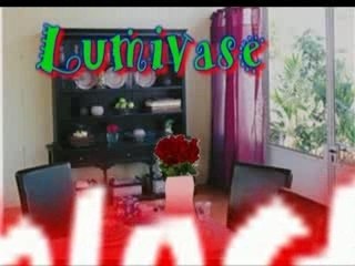 Video creativ internet