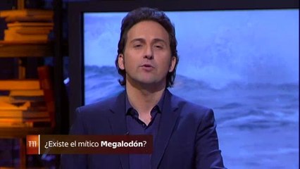 ¿Existe hoy en los océanos el ‘Megalodón’, un tiburón de has