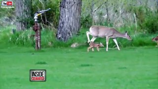 Baby Deer Doesn't Want to Leave Her Rescuer's Side !! VERY EMOTIONAL TO WATCH !!!!