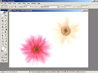 Photoshop CS  Dersleri -Auto Color