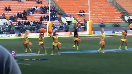 DHL Stormers Cheerleaders.