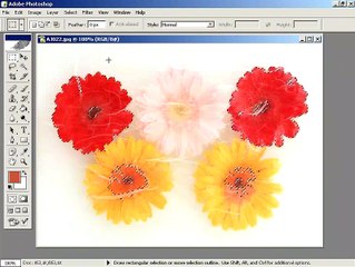 Photoshop CS  Dersleri - Aynı rengin kullanıldiğı birden fazla alanı seçmek