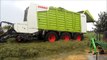 Fendt Vario 936 + Claas Cargos 9500 gras oprapen - De Pourcq uit Astene