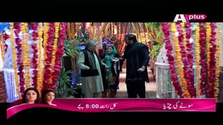 Bhai Episode 21 in HD on Aplus 10th April 2016 Part 1