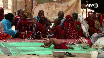 Nomadic people vote in Chad elections