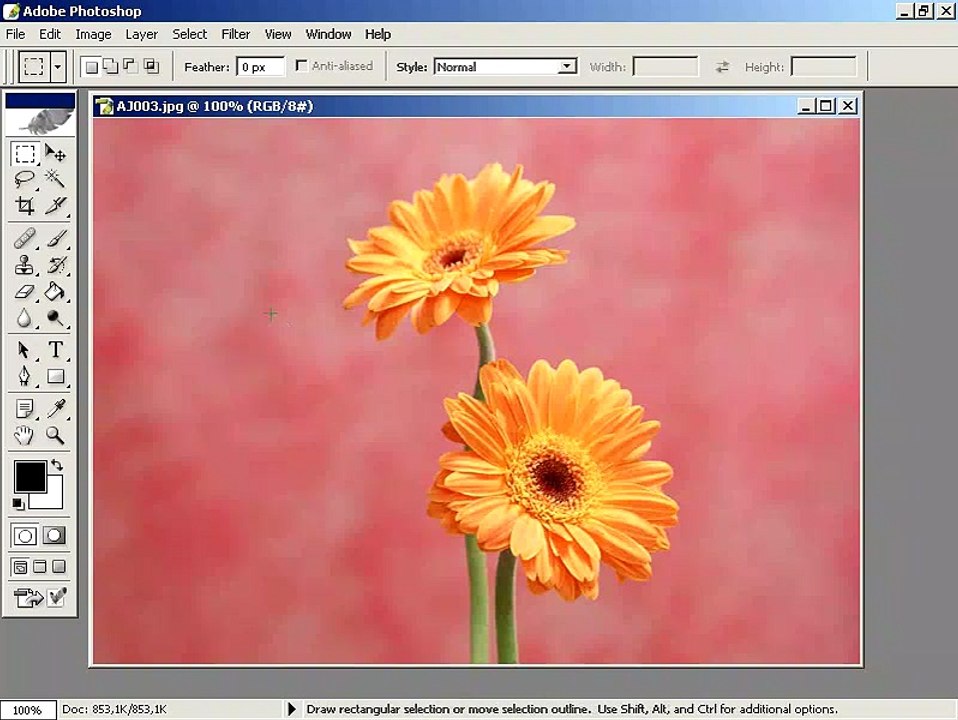 Photoshop CS  Dersleri -Bir resmi diğerinin içine yerleştirmek