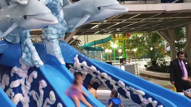Biggest Indoor Swimming Pool Ever. Cailleys Fun Time at the Pool