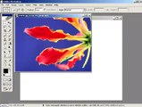 Photoshop CS Dersleri -Bir seçim alanına başka bir resim yerleştirmek