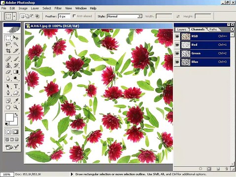 Photoshop CS Dersleri -Birden fazla kanal kullanarak seçim alanı oluşturmak