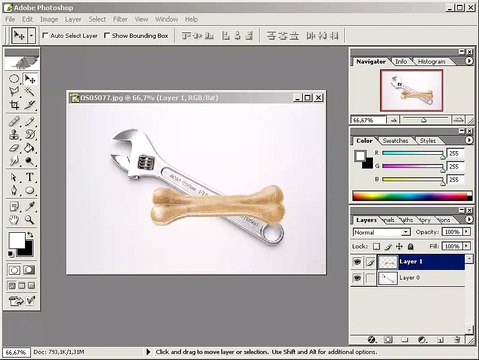 Photoshop CS Dersleri -Birden fazla katmanı hizalamak