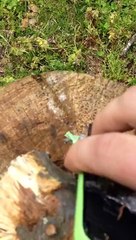 Elle casse les téléphones de ses enfants avec un fusil